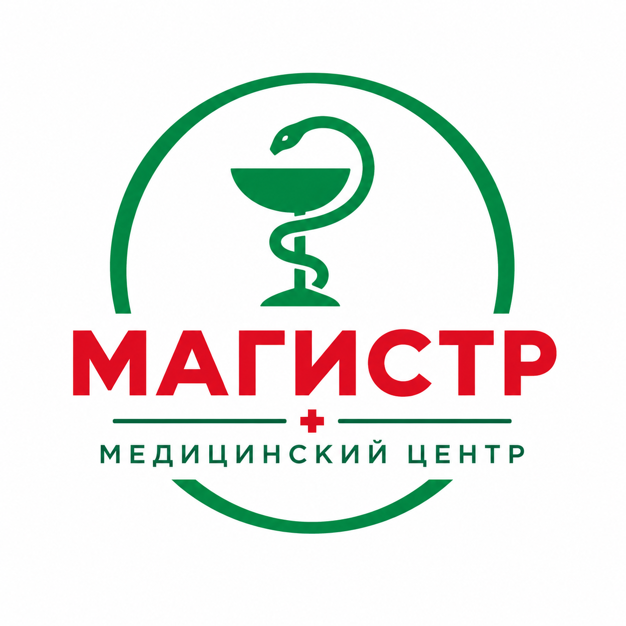 Магистр